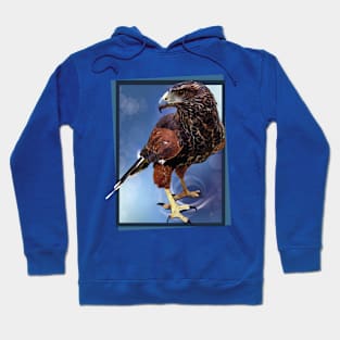 La aguililla rojinegra Hoodie